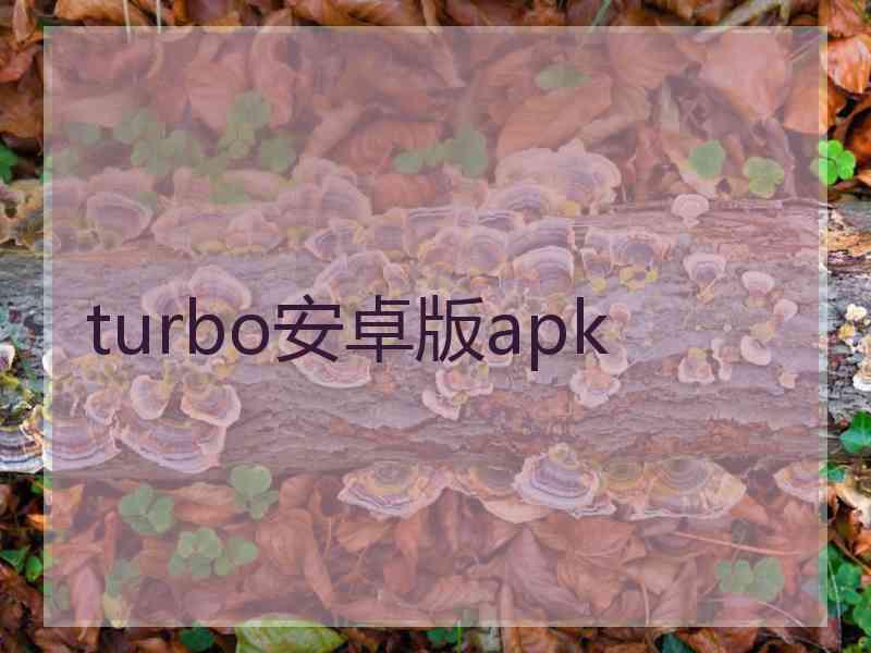 turbo安卓版apk