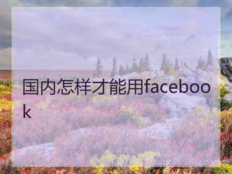 国内怎样才能用facebook