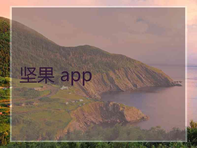 坚果 app