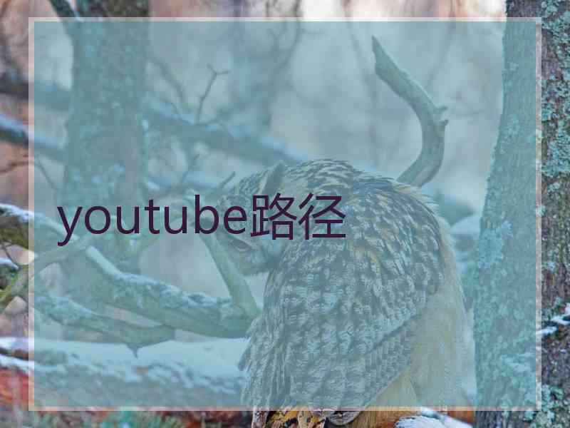 youtube路径