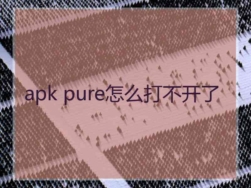 apk pure怎么打不开了