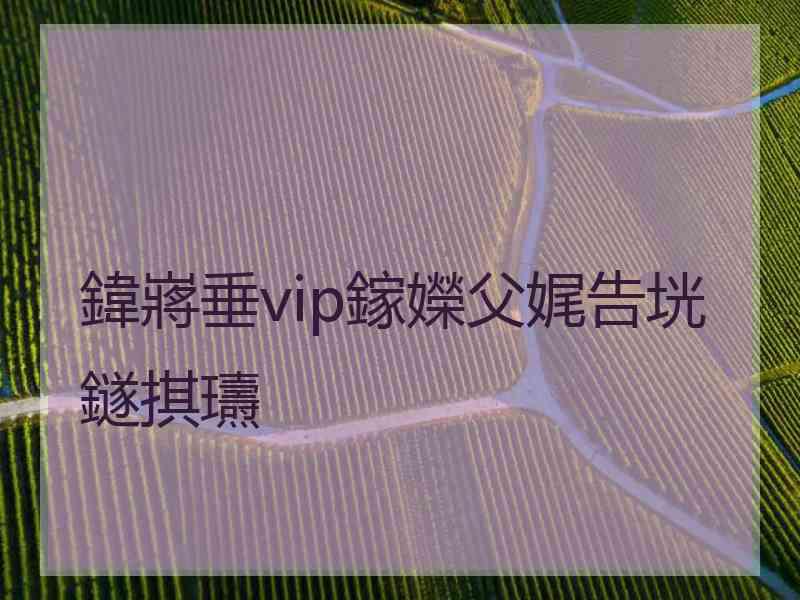 鍏嶈垂vip鎵嬫父娓告垙鐩掑瓙