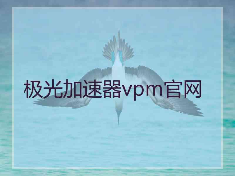 极光加速器vpm官网