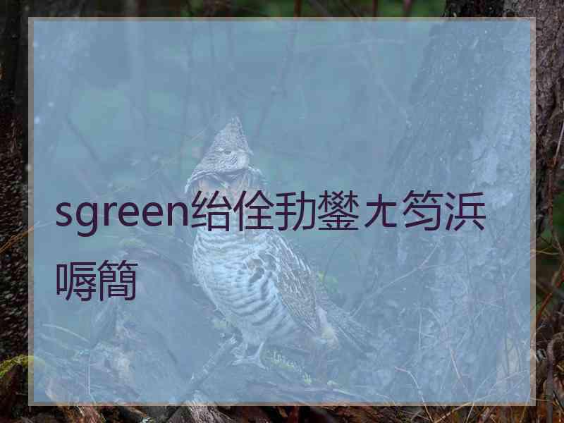 sgreen绐佺劧鐢ㄤ笉浜嗕簡