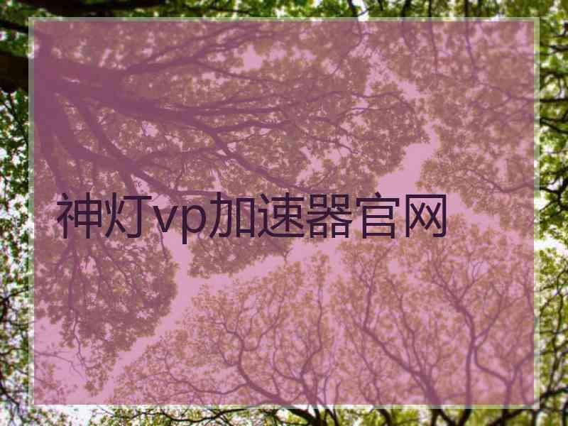 神灯vp加速器官网