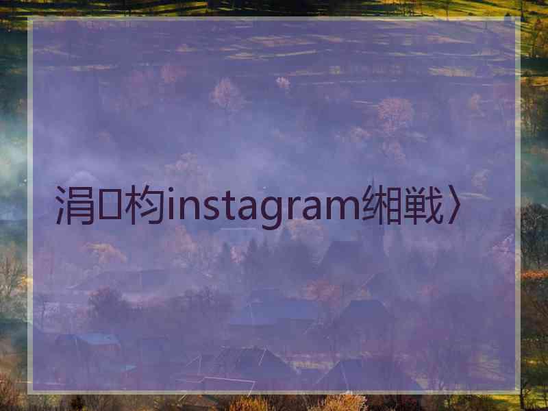 涓枃instagram缃戦〉