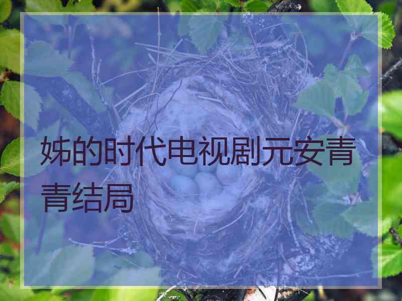 姊的时代电视剧元安青青结局