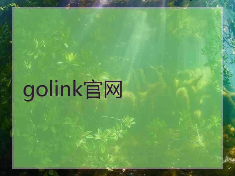 golink官网