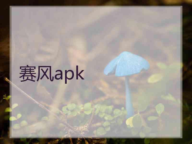 赛风apk