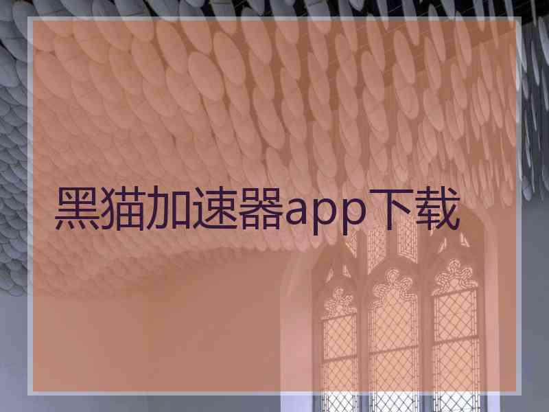 黑猫加速器app下载