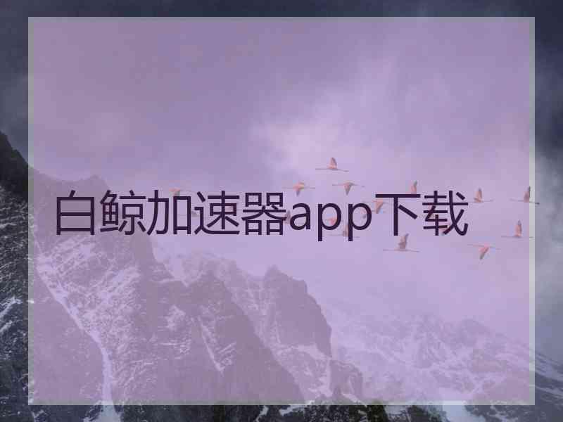 白鲸加速器app下载