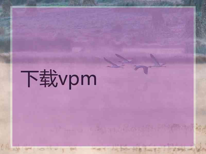 下载vpm