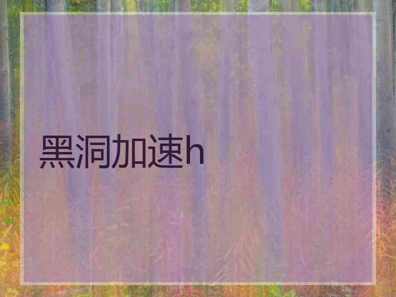 黑洞加速h