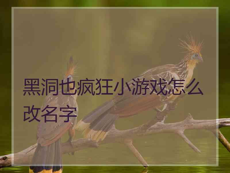 黑洞也疯狂小游戏怎么改名字