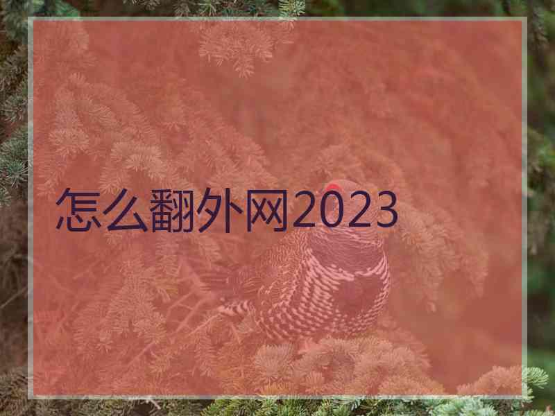 怎么翻外网2023