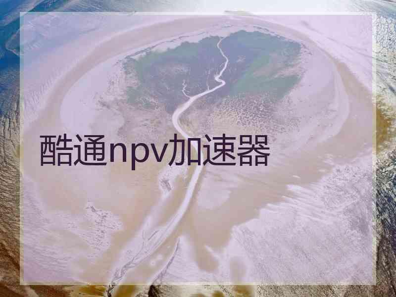 酷通npv加速器