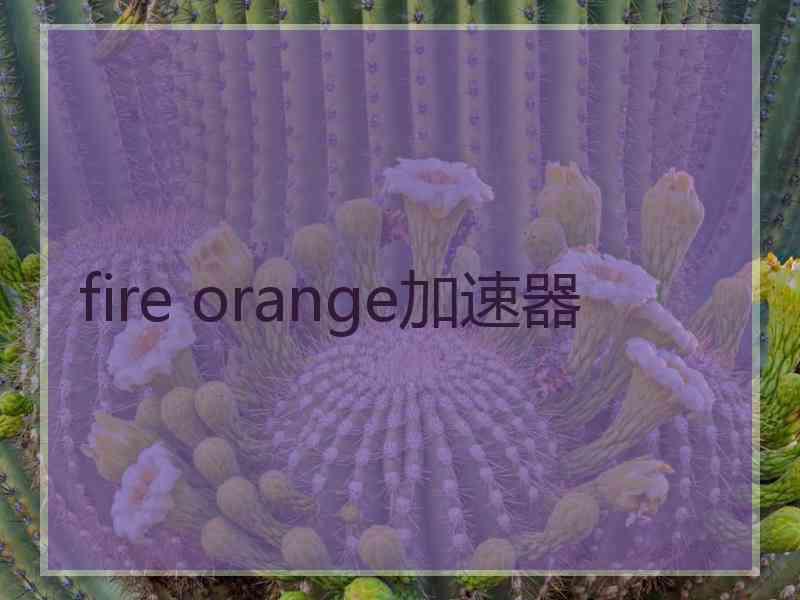 fire orange加速器