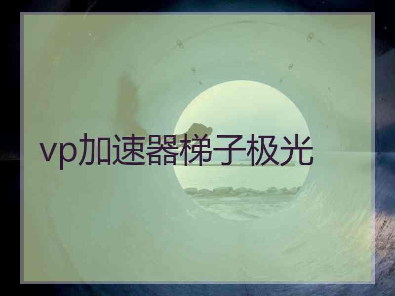 vp加速器梯子极光