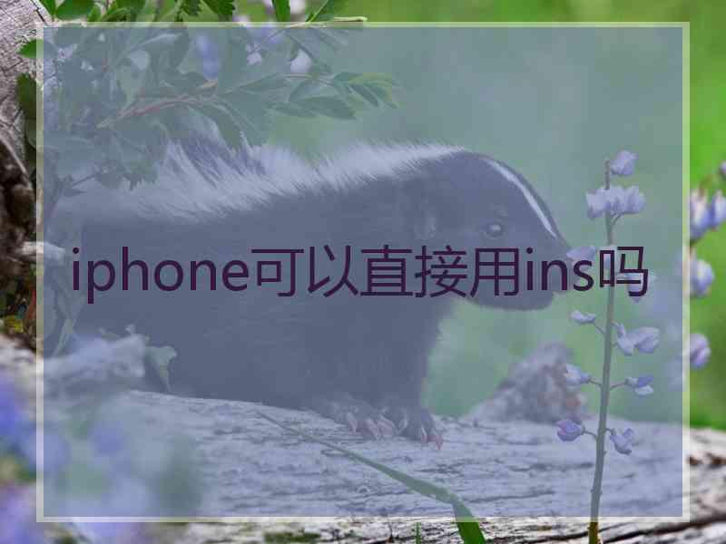 iphone可以直接用ins吗