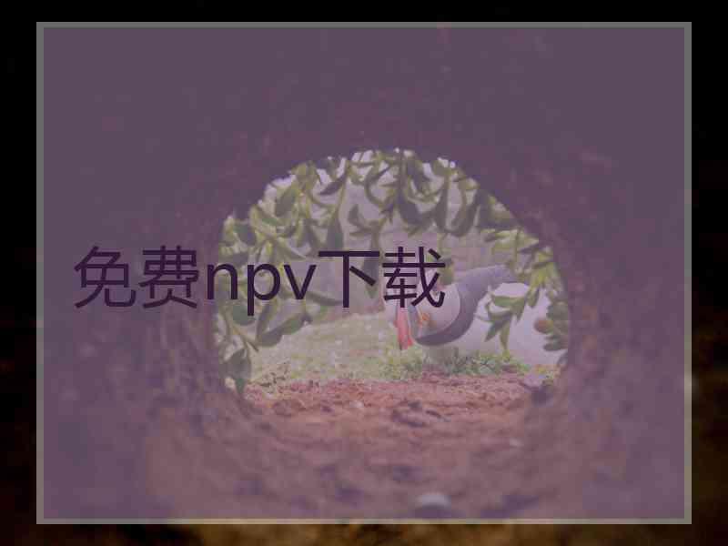 免费npv下载