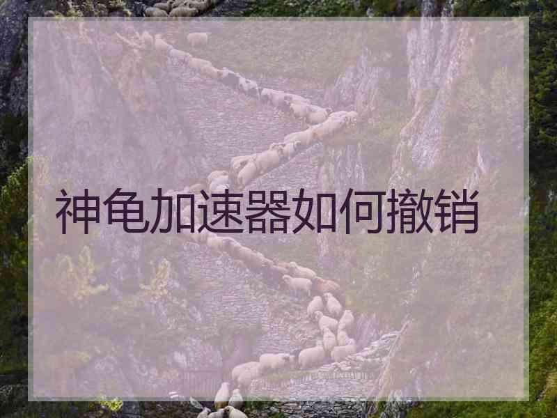 神龟加速器如何撤销