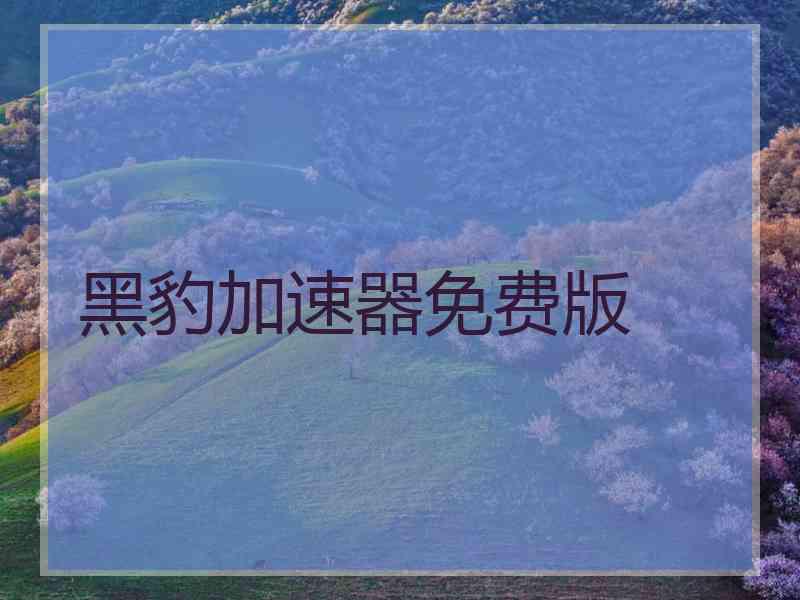 黑豹加速器免费版