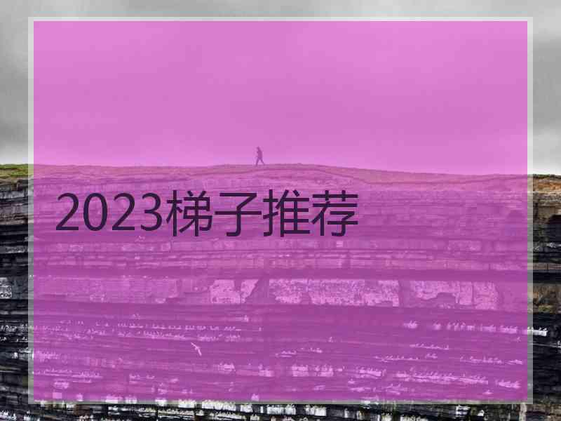 2023梯子推荐