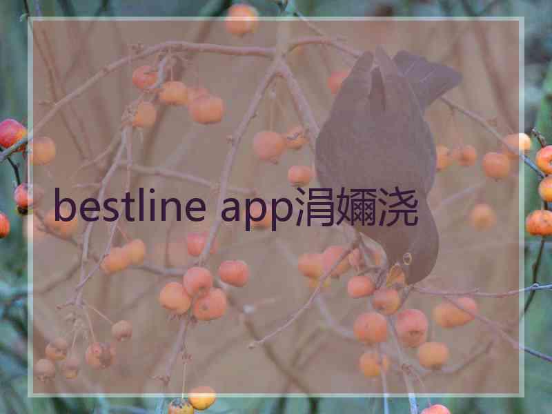 bestline app涓嬭浇