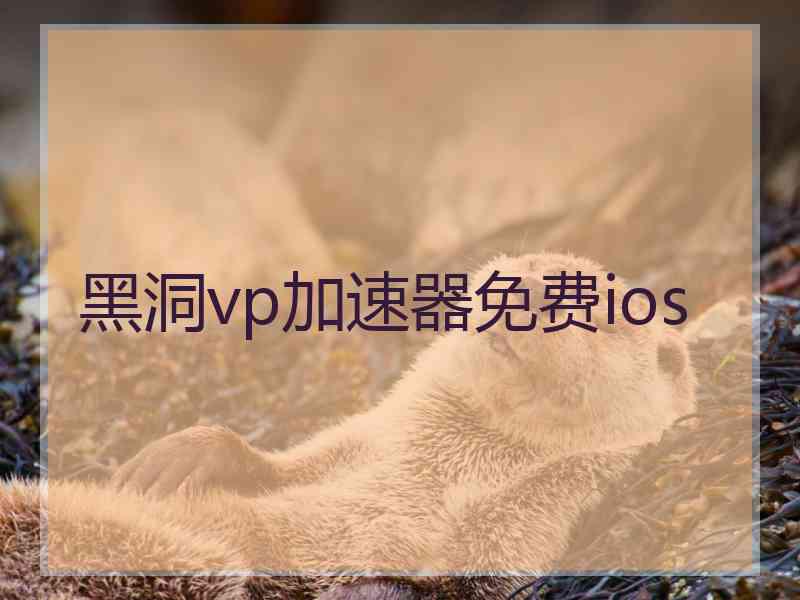 黑洞vp加速器免费ios