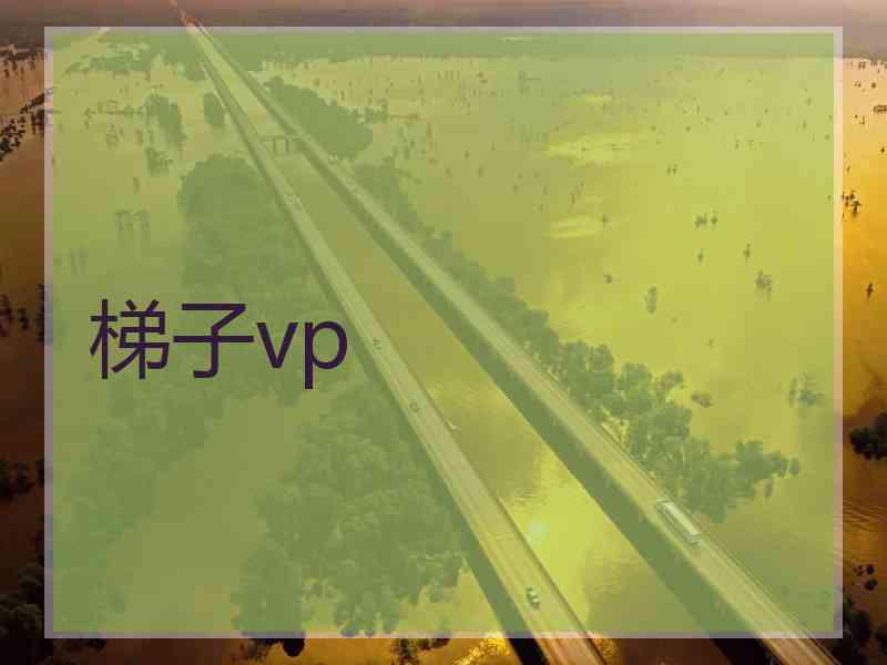 梯子vp