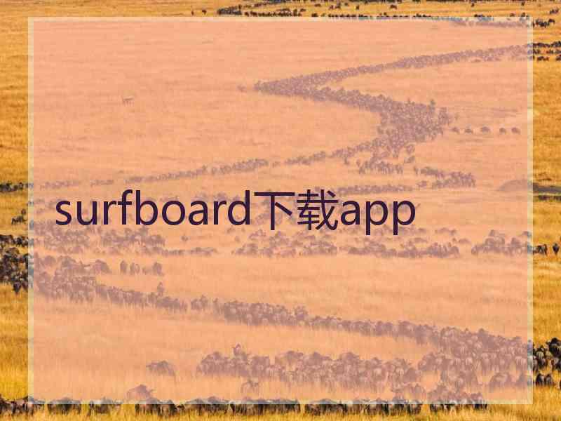 surfboard下载app