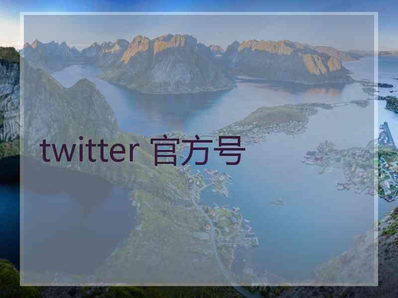 twitter 官方号