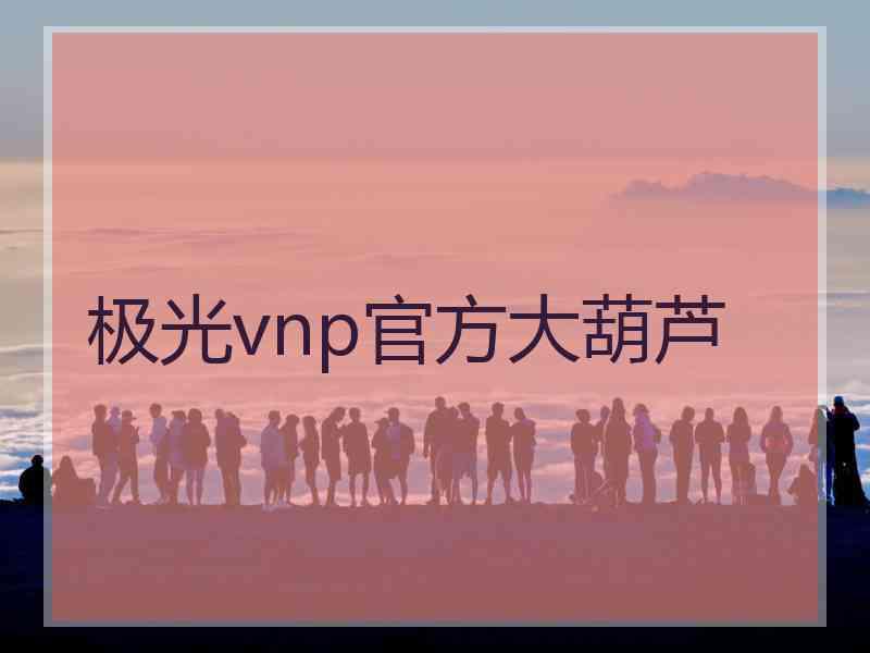 极光vnp官方大葫芦