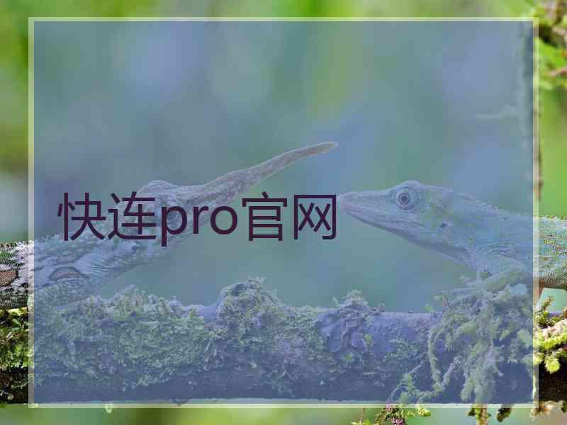 快连pro官网