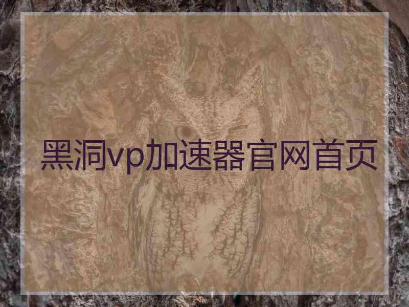 黑洞vp加速器官网首页