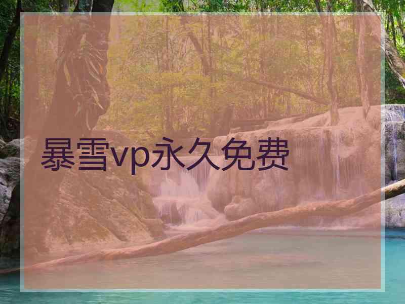 暴雪vp永久免费