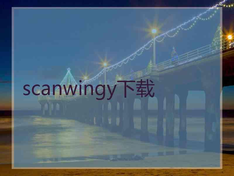 scanwingy下载