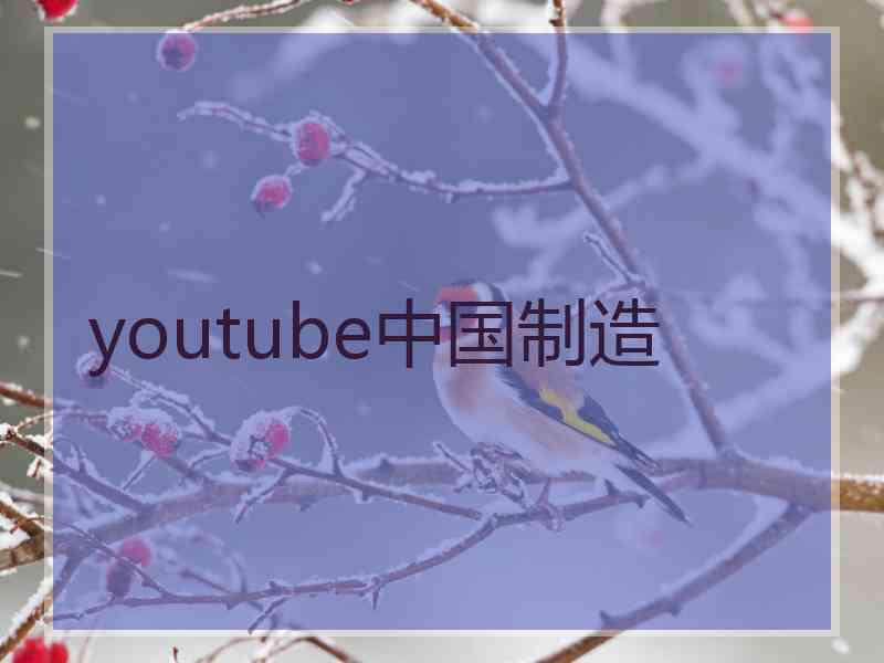 youtube中国制造