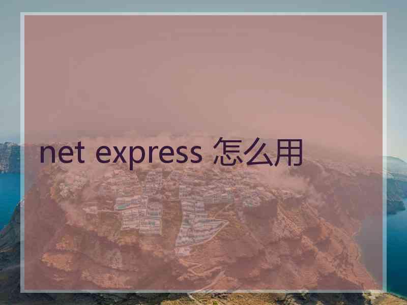 net express 怎么用