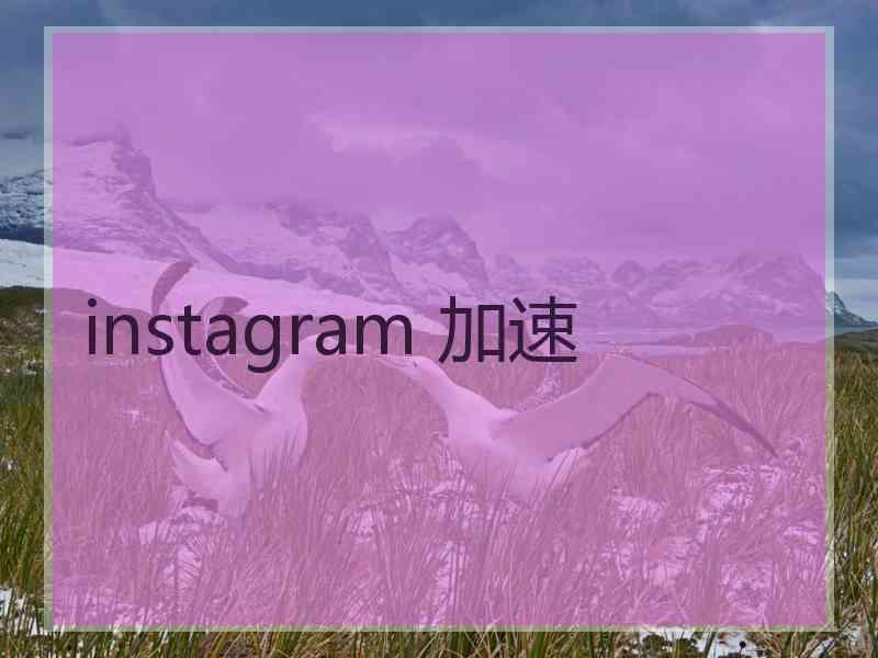 instagram 加速