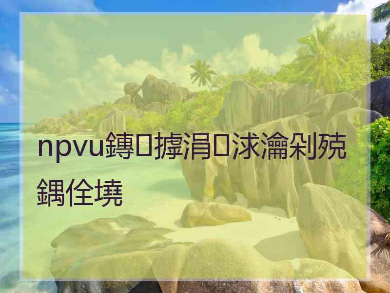 npvu鏄摢涓浗瀹剁殑鍝佺墝