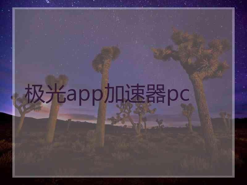 极光app加速器pc