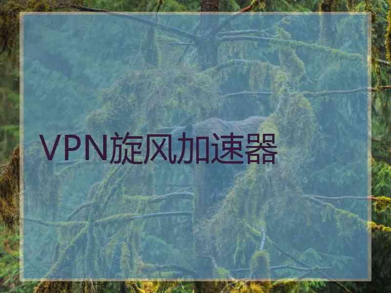 VPN旋风加速器