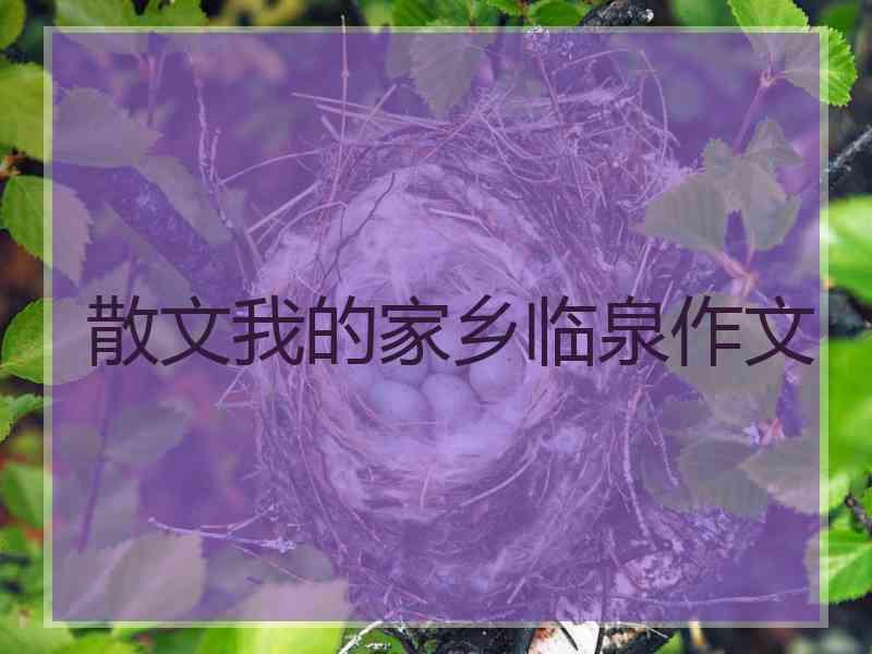 散文我的家乡临泉作文