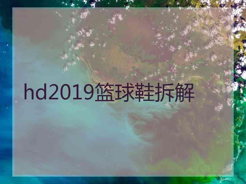 hd2019篮球鞋拆解