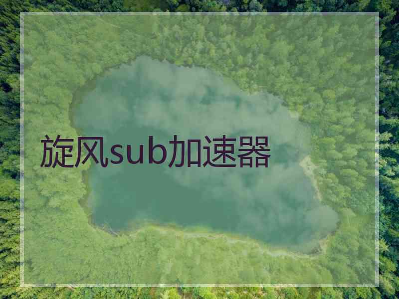 旋风sub加速器