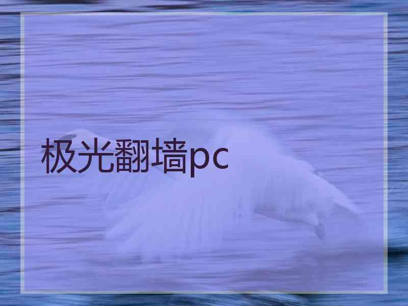 极光翻墙pc