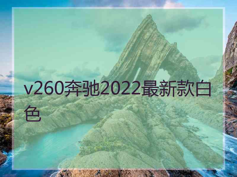 v260奔驰2022最新款白色