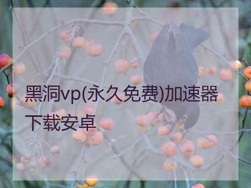 黑洞vp(永久免费)加速器下载安卓