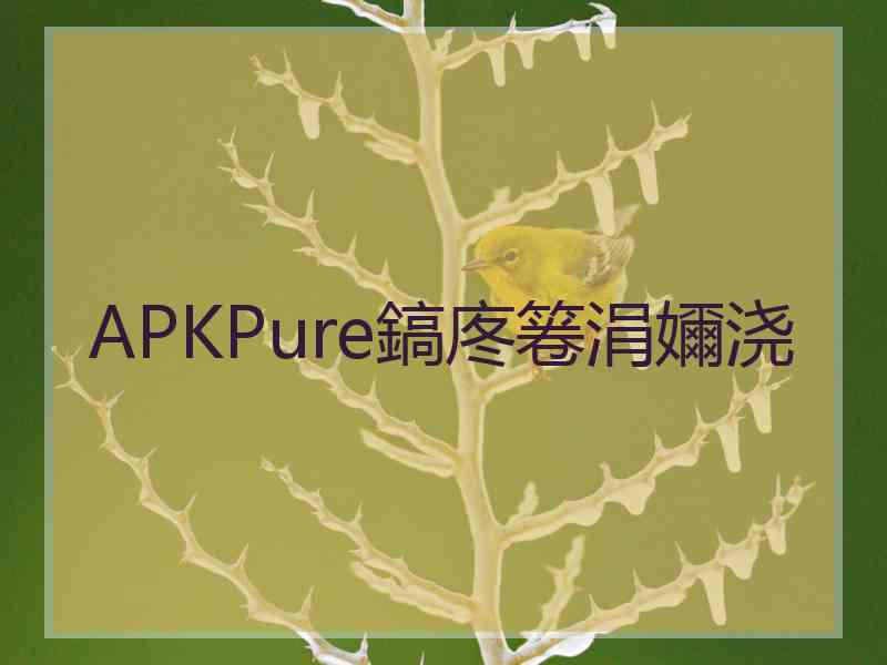 APKPure鎬庝箞涓嬭浇